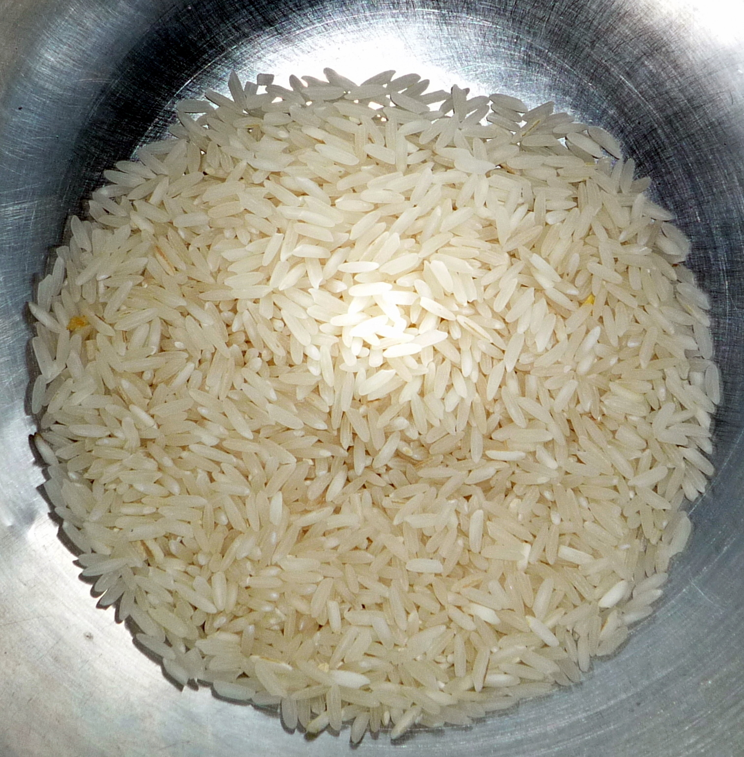 Ricegrains1500ppx.jpg